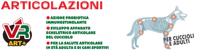 articolazioni