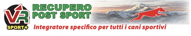 sport+