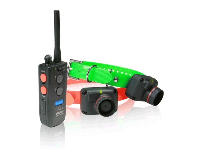 2502 T&B (beeper + addestramento, doppio)