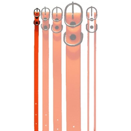 COLLARE BIOTHANE 13 MM