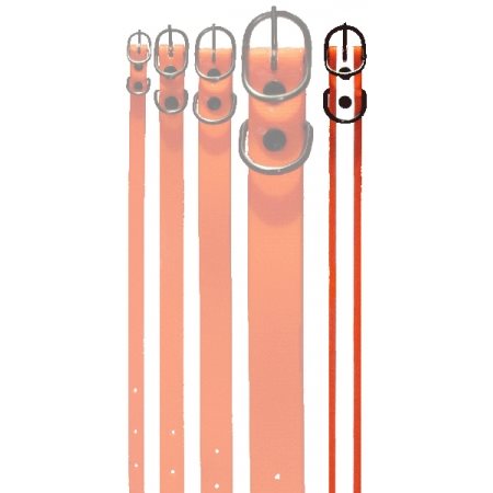 COLLARE BIOTHANE 25 MM RIFLETTENTE